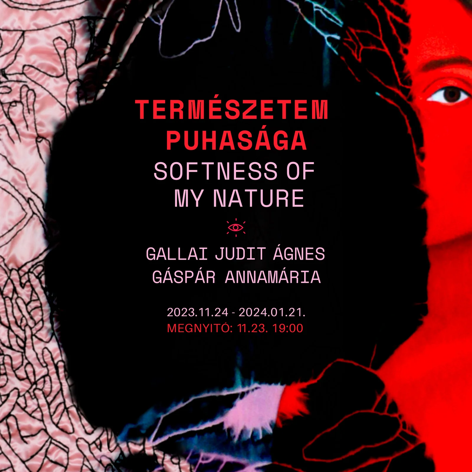 Gallai Judit Ágnes és Gáspár Annamária: Természetem puhasága