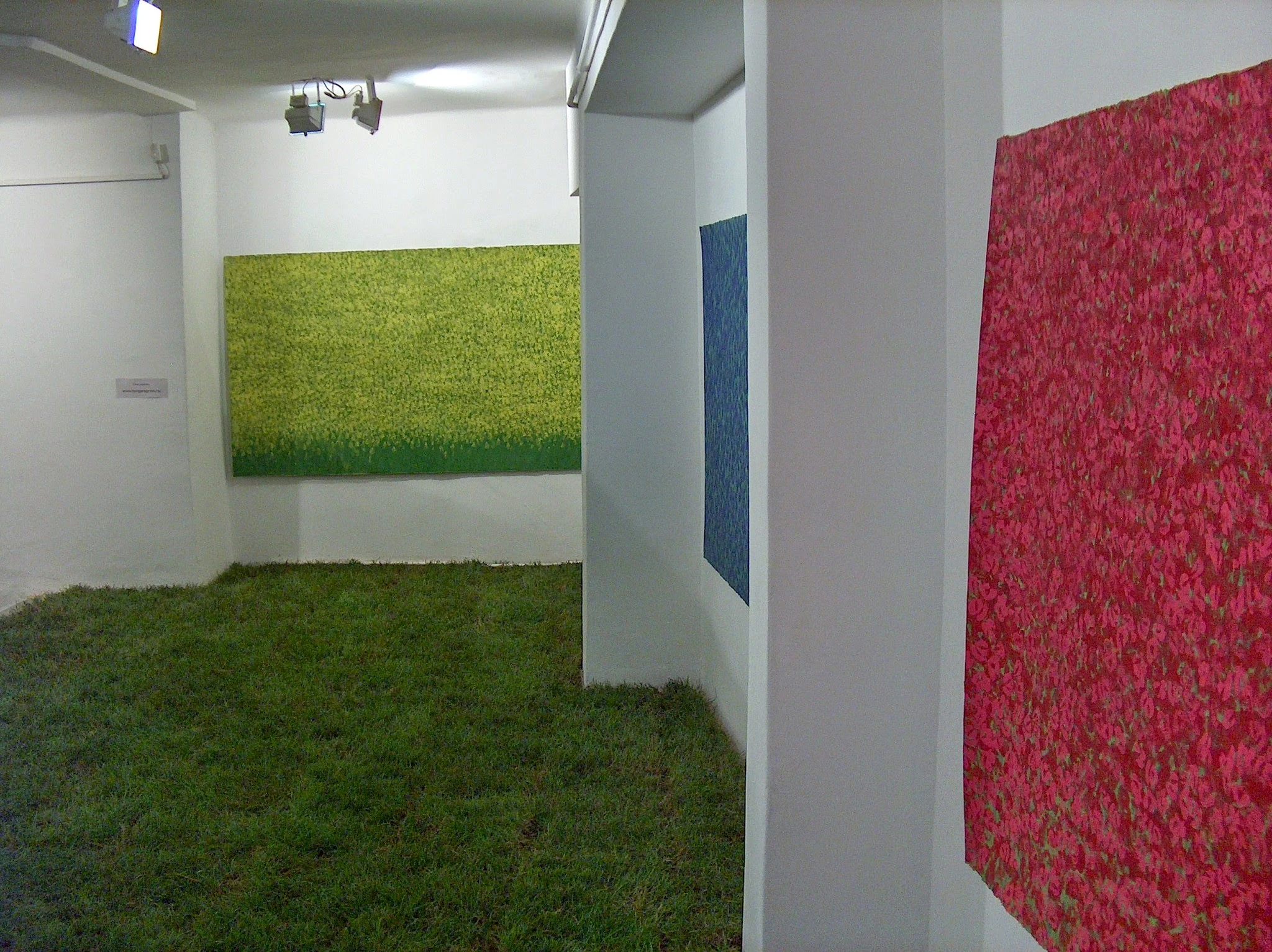 Nagy Csaba: Kert 2005-05-18 — 2005-06-11 - Godot Galéria – 14. forráskép